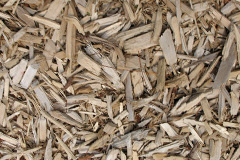 biomass boilers Caermeini